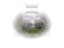 Tablet Screenshot of esteestrom.com